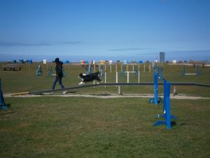 Ein schöner Dog Agility Parcours am Strand Nessmersiel