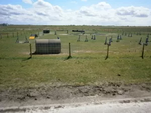Bild 22: Nordsee / Ostfriesland strandnahes Ferienhaus 1-5 Personen (Hund erlaubt)