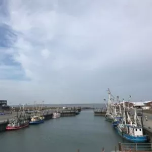 neben dem Strand gelegen und Ausgangspunk für geführte Wattwanderungen
zur Insel Baltrum.