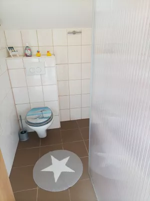 Badezimmer,Dusche,WC,Fenster und Duschwand-