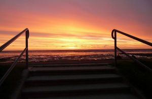 Bild 19: dasKrabbe, 2-3-4-5-6-7-8 P, Ferienhaus, Nordsee