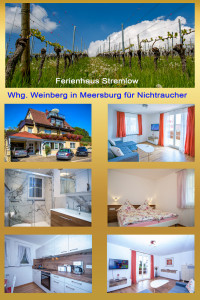 Ferienwohnung in Meersburg: Ferienhaus Stremlow Whg. Weinberg in Meersburg für Nichtraucher