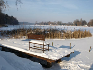 Dargun mit Klostersee im Winter