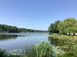 Bild 30: Ferienhaus Geers am Klosterwald - Dargun