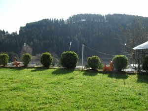 Das große, gepflegte Grundstück mit kleinen Gartenteichen ist kommplett
eingezäunt und ist auch für Ihren Hund ideal.