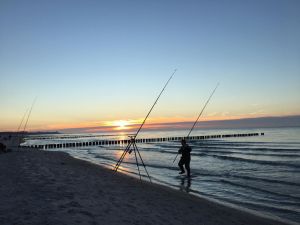 Ostsee - Brandungsangeln Brandungsangeln an der Ostsee. Angelspaß PUR!
Erholung am Bodden im Piratennest Darss mit Hund !
Seeblick vom Wassergrundstück der Familie Fitzka