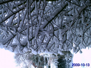 Borkum im Winter - auch eine Reise wert!