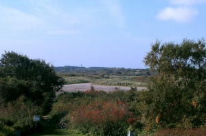 Bild 23: Ferienwohnung Eggesin auf der Insel Borkum