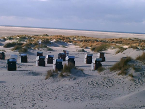 Bild 25: Ferienwohnung Eggesin auf der Insel Borkum
