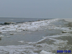 Bild 26: Ferienwohnung Eggesin auf der Insel Borkum