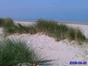 Bild 16: Ferienwohnung Eggesin auf der Insel Borkum