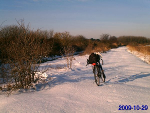 Bild 28: Ferienwohnung Eggesin auf der Insel Borkum