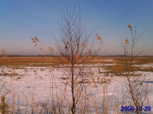 Bild 29: Ferienwohnung Eggesin auf der Insel Borkum