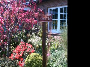 Unser eigener Weg.....umsäumt von wunderschönen Blumen.