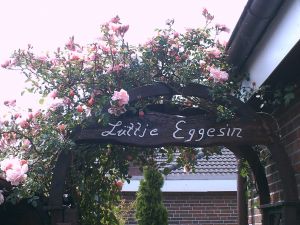 Rosenbogen - Durchgang Terrasse Gäste