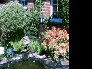 Hier schauen Sie direkt auf unseren neu angelegten Gartenteich, wo sich zahlreiche Goldfische tummeln.