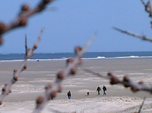Bild 19: Ferienwohnung Eggesin auf der Insel Borkum