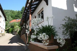 Bild 20: Ferienwohnung Waldschrat im Pfälzer Wald