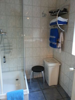 Bild 24: Ferienwohnung Waldschrat im Pfälzer Wald