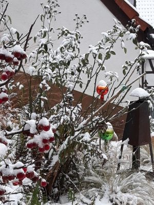 Bild 17: Ferienwohnung Waldschrat im Pfälzer Wald
