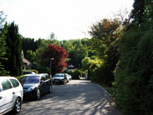 Blick in die Straße vor dem Haus