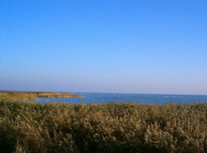 Mit dem Fahrrad auf dem Deich, immer am Bodden lang, ist ein Vergnügen. Schöne Fahrradwege ziehen sich durch den ganzen Nationalpark "Vorpommersche Boddenlandschaft"