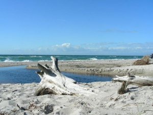 Der Westsstrand liegt auf der Ostsee Halbinsel Darss im Nationalpark Vorpommersche Boddenlandschaft. Der 13km lange Weststrand bietet besondere Reize für alle, die es urwüchsig mögen. Weg vom Strassenlärm, ist nur zu Fuss oder mit dem Rad durch den schönen Darsser Wald zu erreichen (ca. 4 km). Hier finden Sie eine unberührte Natur zu allen Jahreszeiten vor. Nach Stürmen kann man mit gutem Auge Bernsteine finden und lange Strandwanderungen unternehmen. Im Sommer herrscht ein frohes Badeleben.
