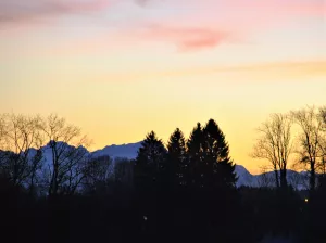 Bild 19: Cottage No. 8 ♥ Traum-Landhauswohnung im Grünen