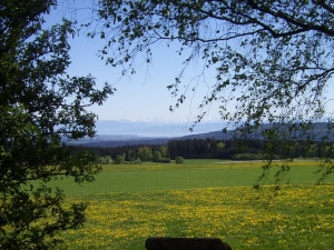 Bild 2: Landhaus Bodensee in Panormasichtlage Hunde sind herzlich willkommen. WOHNUNG 3