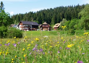 Bild 3: 4-Sterne-Ferienwohnung (3 Zi) in ruhiger Lage, 3 km außerhalb Freudenstadt
