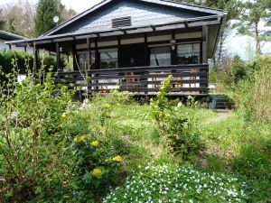 Waldblumen im Vorgarten des Ferienhauses im Mai