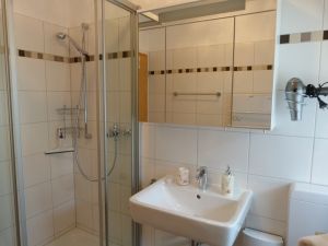 Duschbad mit großem Spiegelschrank Das Duschbad ist ausgestattet mit Dusche, WC, Waschtisch, großem Spiegelschrank, einem Regal und einer Handtuchheizung.