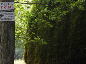 Eifelkrimi-Wanderweg Für Krimifans ein Muss - ebenso das Kriminalmuseum und das Café Sherlock in Hillesheim.