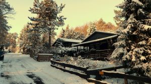 Bild 26: Eifel-Ferienhaus Fliegenpilz - für Ihren Urlaub mit und ohne Hund