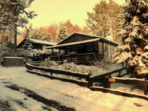 Bild 25: Eifel-Ferienhaus Fliegenpilz - für Ihren Urlaub mit und ohne Hund