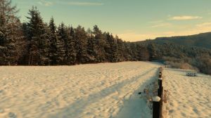 Herrliche Winterspaziergänge im Schnee in unmittelbarer Nähe des Ferienhauses.