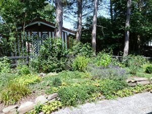 Vom Schlafzimmer 1 aus gelangen Sie auf die Terrasse hinter dem Haus.