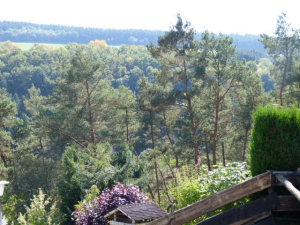 Dieses Foto spricht für sich selbst und benötigt keine weitere Erklärung.