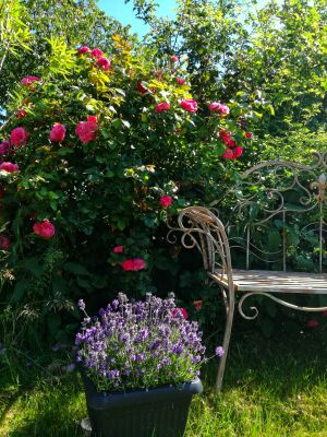 Bild 15: Ferienwohnung Sternenhimmel