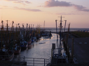 Bild 5: Ferienwohnung an der Nordsee mit Meerblick