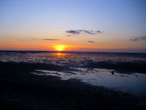 Bild 7: Ferienwohnung an der Nordsee mit Meerblick