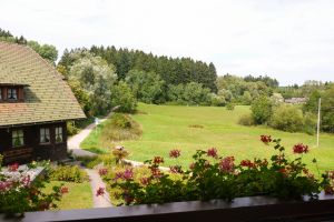 Bild 20: 4-Sterne-Ferienwohnung (2 Zi) in traumhaft schöner Lage bei Freudenstadt