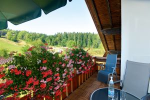 Bild 23: 4-Sterne-Ferienwohnung (2 Zi) in traumhaft schöner Lage bei Freudenstadt