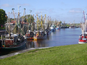 Bild 18: Greetsiel Traum-Fewo Deichrose - Top-Ausstattung 4 Pers WLAN