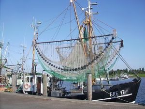 Bild 19: Greetsiel Traum-Fewo Deichrose - Top-Ausstattung 4 Pers WLAN