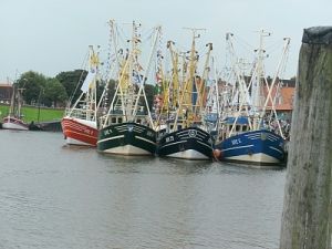 Bild 16: Greetsiel Traum-Fewo Deichrose - Top-Ausstattung 4 Pers WLAN