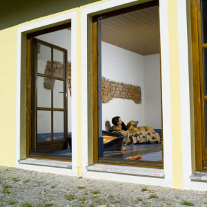 Bild 6: Urlaub mit Hund in Niederbayern World of Animals 4 Pfoten Resort