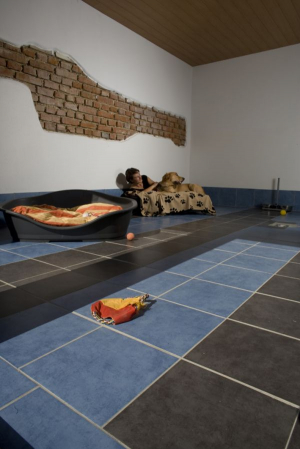 Bild 7: Urlaub mit Hund in Niederbayern World of Animals 4 Pfoten Resort