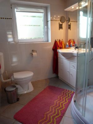 Tageslichtbad mit Dusche