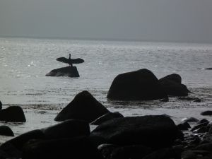 Spaziergänge am Morgen sind immer wieder anders